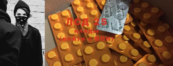 гашик Пересвет