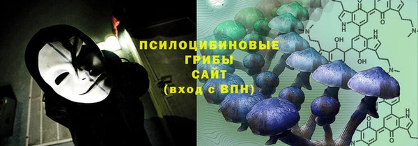 твердый Осинники
