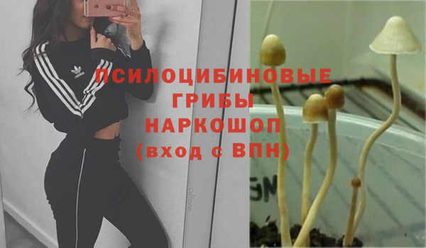 а пвп мука Остров