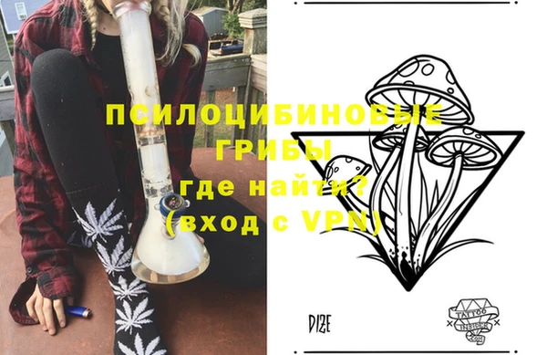 Альфа ПВП Пестово