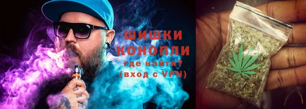 Альфа ПВП Пестово