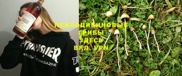 Альфа ПВП Пестово